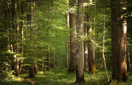 Remerciements au personnel communal